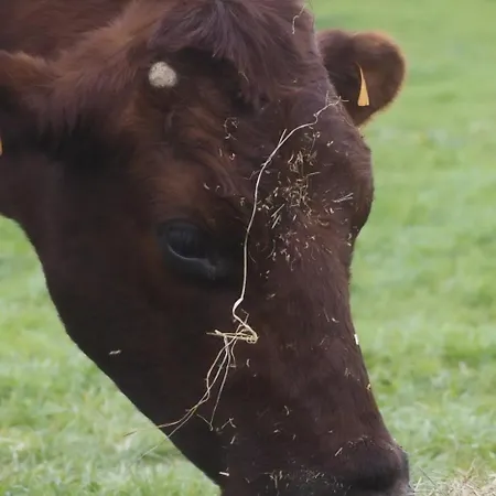 L'instant Bucolique Séjour à la ferme