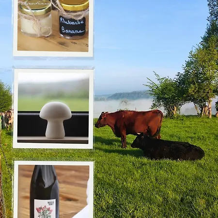 Farm stay L'instant Bucolique Origny-en-Thierache