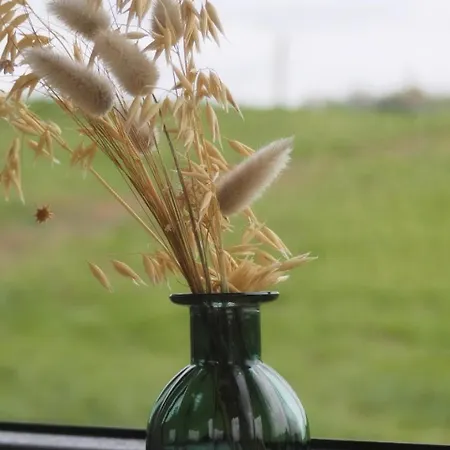 Farm stay L'instant Bucolique Origny-en-Thierache