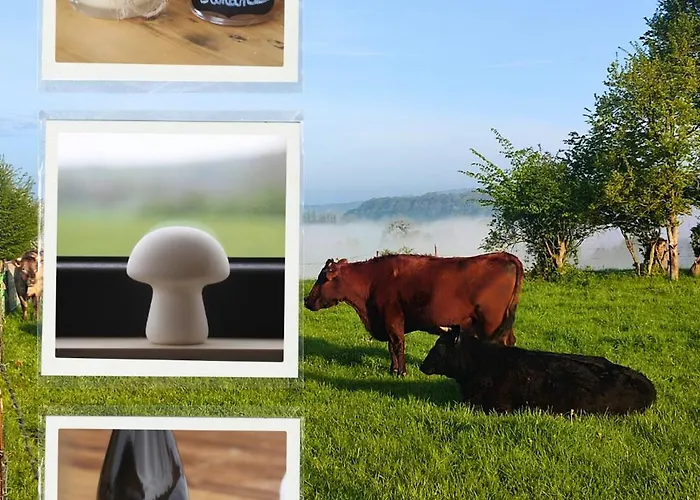 Gospodarstwo agroturystyczne L'instant Bucolique Origny-en-Thierache