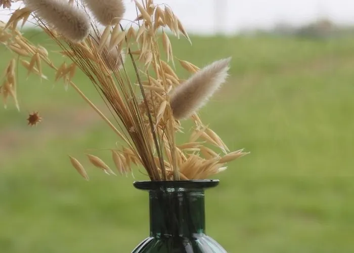 Gospodarstwo agroturystyczne L'instant Bucolique Origny-en-Thierache